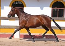 4W5A6543 (Copiar)
